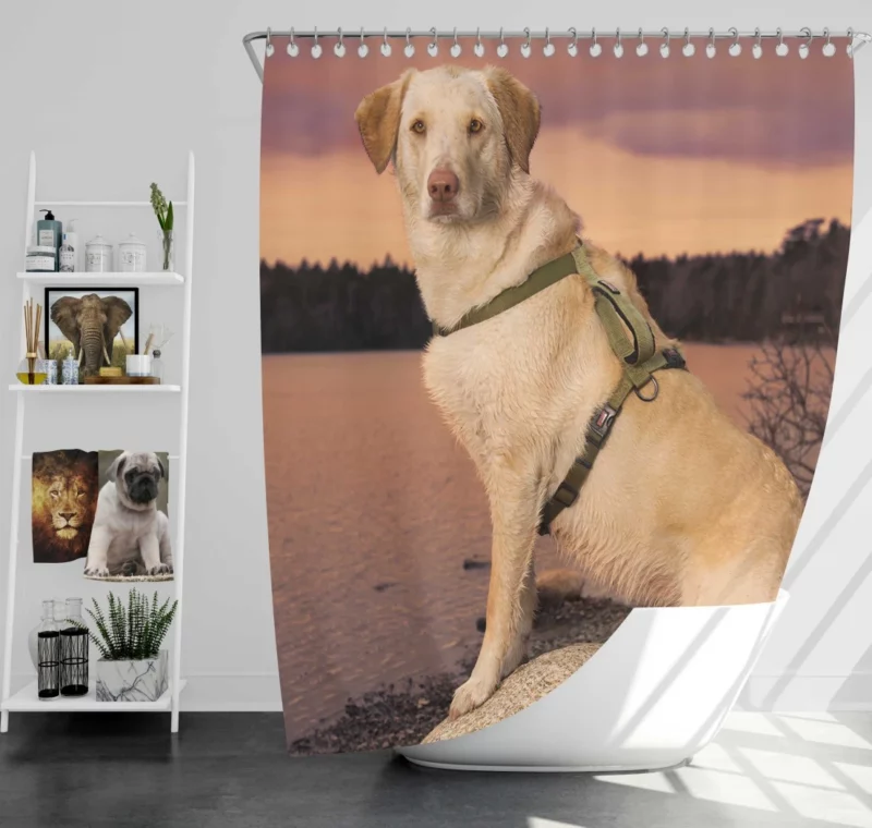 Fluffy Golden Retriever by the Lake Shower Curtain