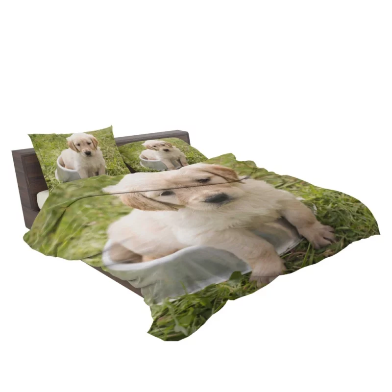 Fluffy Golden Retriever in Dish Bedding Set 2