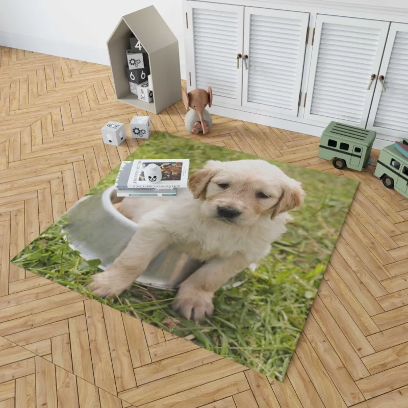 Fluffy Golden Retriever in Dish Rug 1