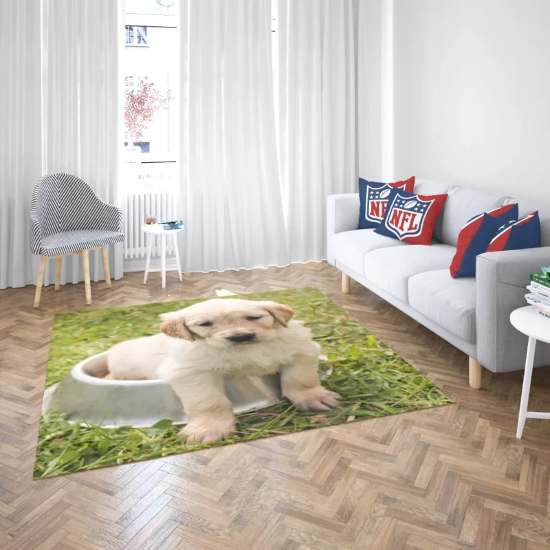 Fluffy Golden Retriever in Dish Rug 2