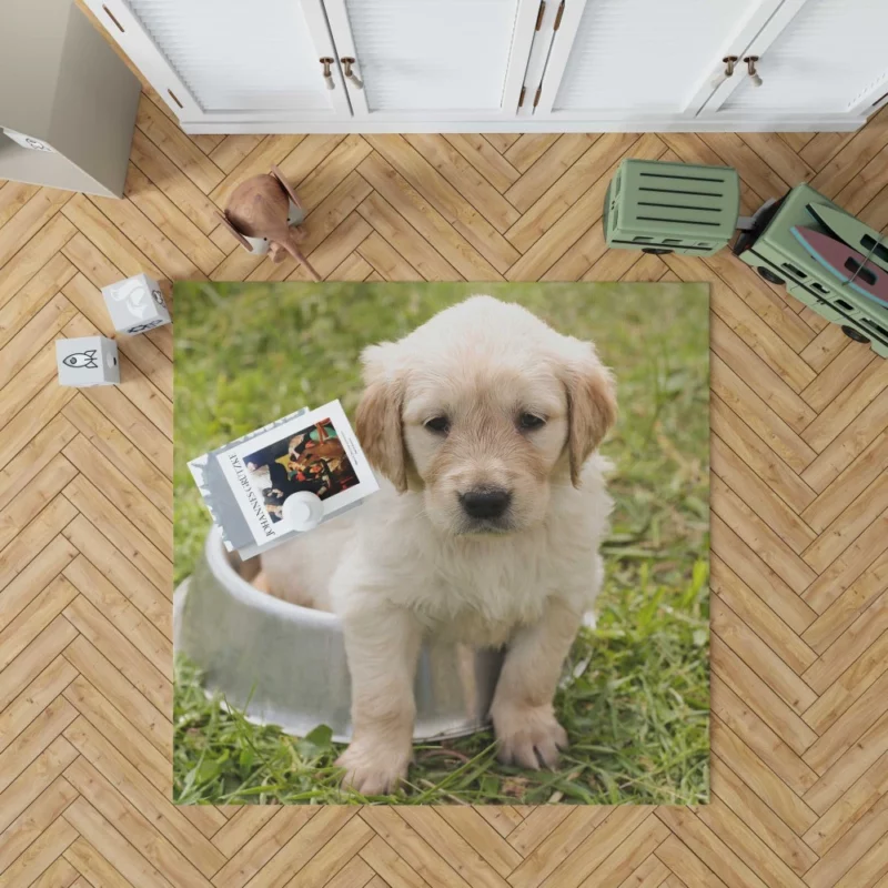 Fluffy Golden Retriever in Dish Rug