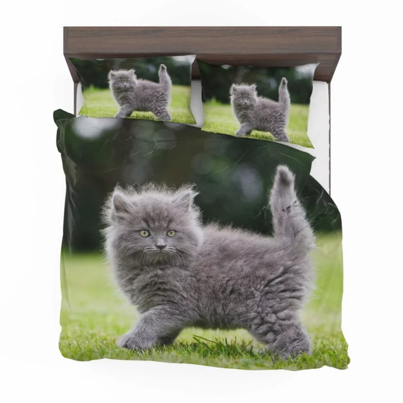 Fluffy Kitten Innocent Gaze Baby Charm Bedding Set 1