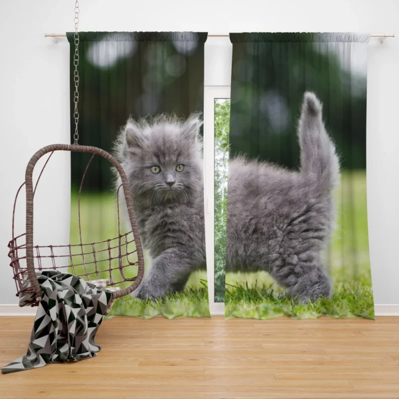 Fluffy Kitten Innocent Gaze Baby Charm Curtain