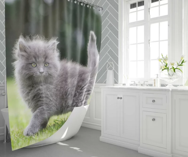 Fluffy Kitten Innocent Gaze Baby Charm Shower Curtain 1