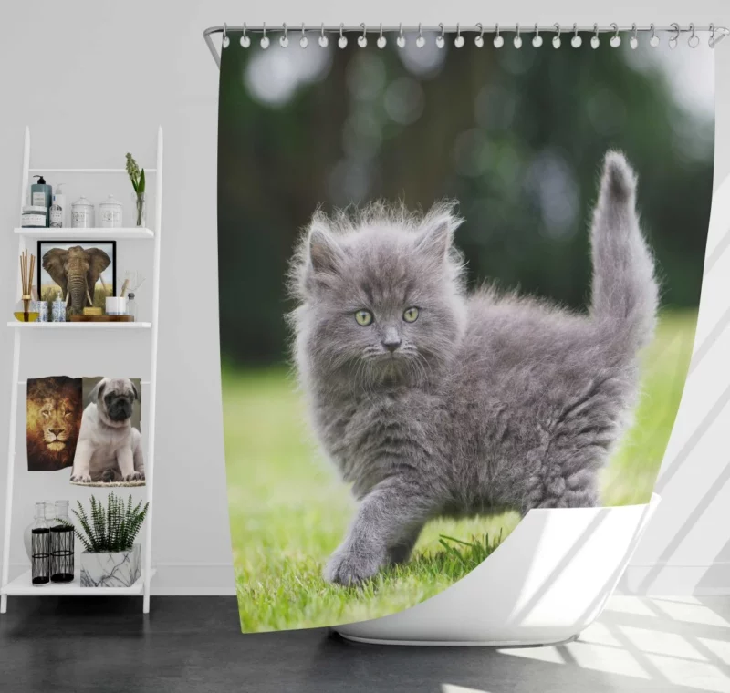 Fluffy Kitten Innocent Gaze Baby Charm Shower Curtain