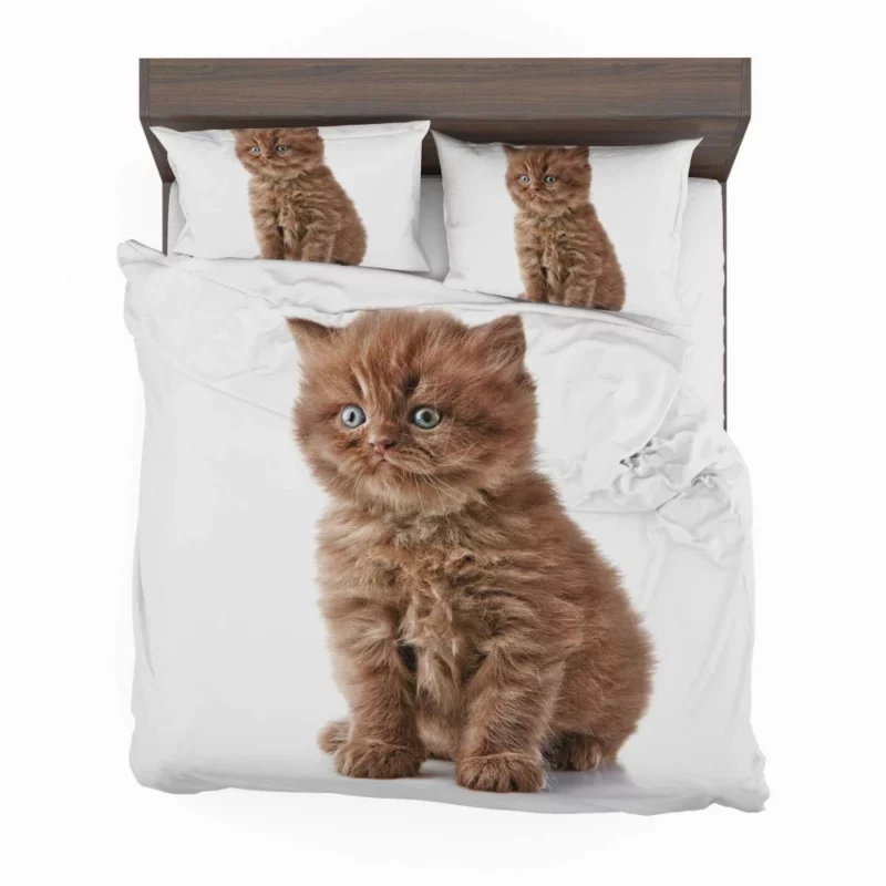 Fluffy Kitten Sweet Playfulness Bedding Set 1