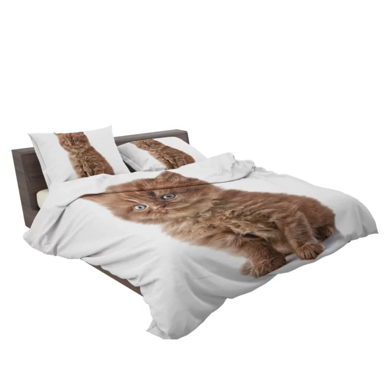 Fluffy Kitten Sweet Playfulness Bedding Set 2