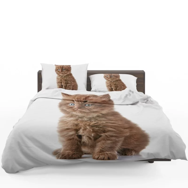 Fluffy Kitten Sweet Playfulness Bedding Set