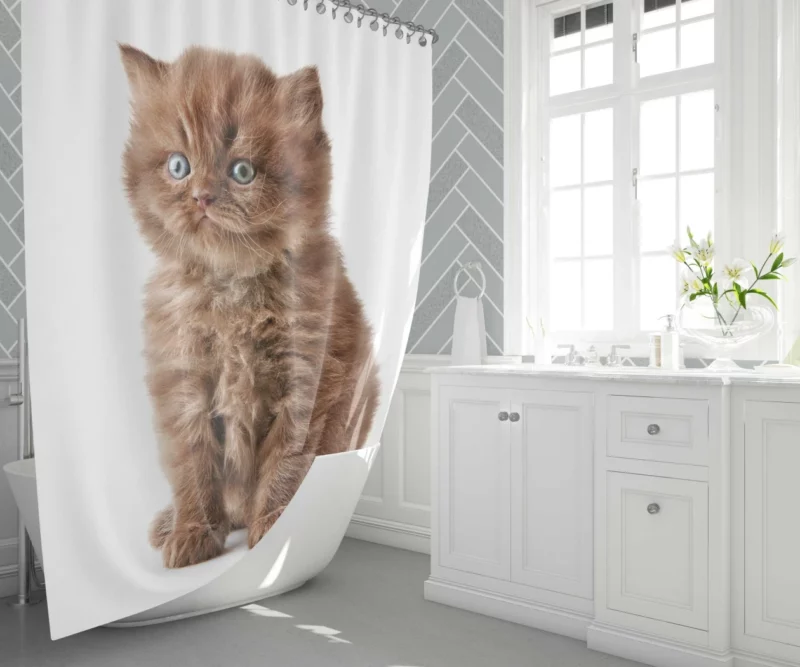 Fluffy Kitten Sweet Playfulness Shower Curtain 1