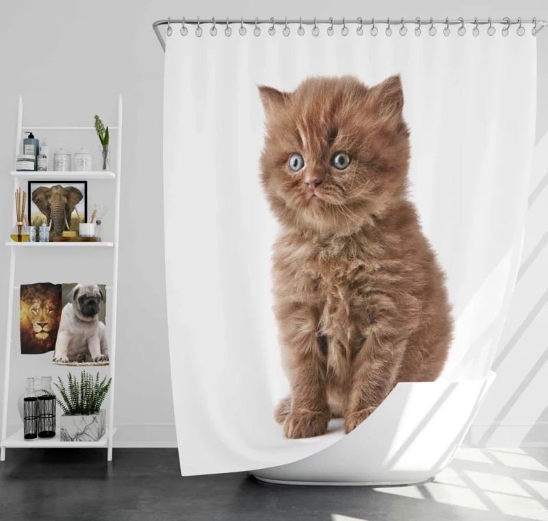 Fluffy Kitten Sweet Playfulness Shower Curtain