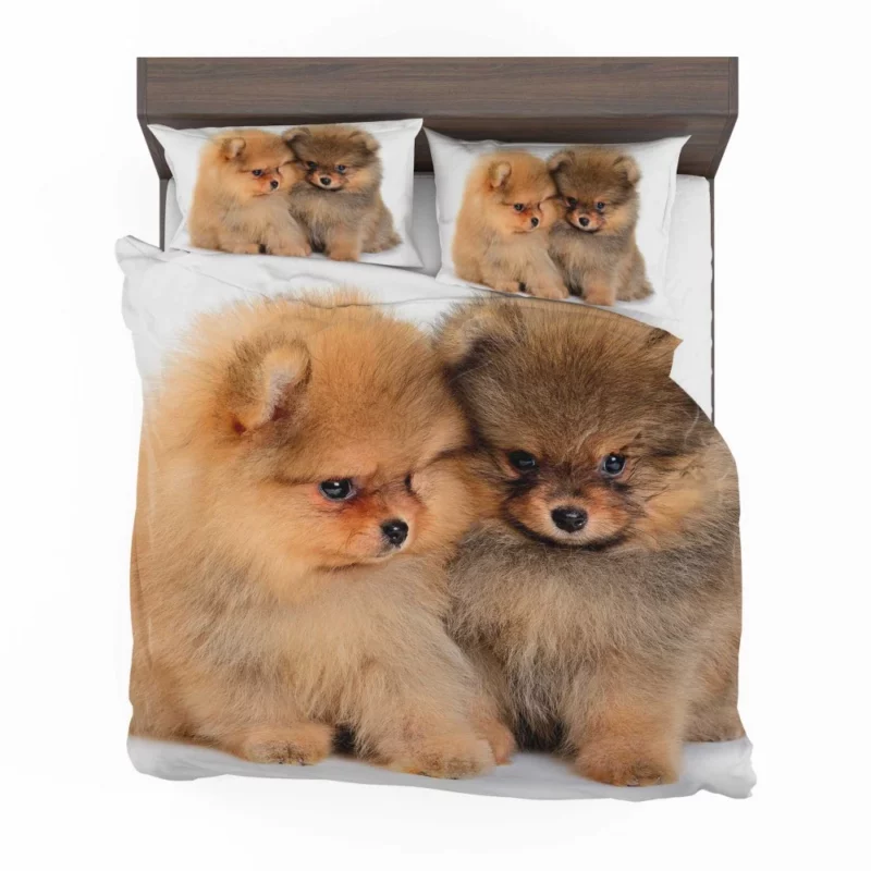 Fluffy Spitz Puppies Furry Delight Bedding Set 1