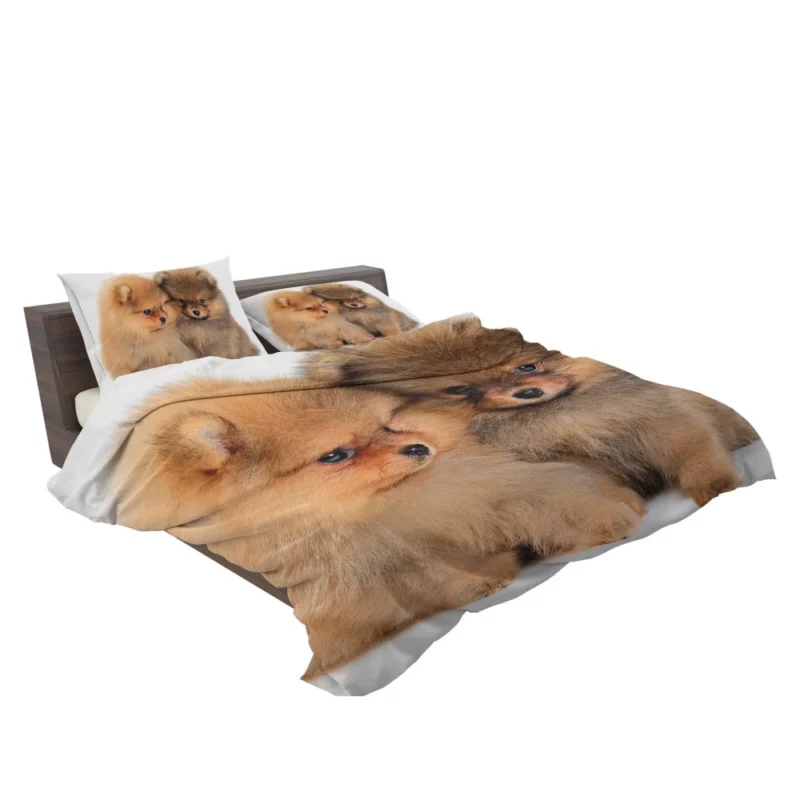 Fluffy Spitz Puppies Furry Delight Bedding Set 2