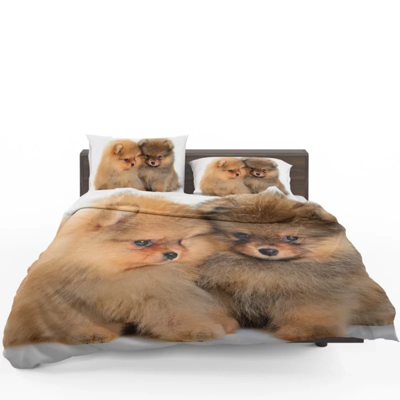 Fluffy Spitz Puppies Furry Delight Bedding Set