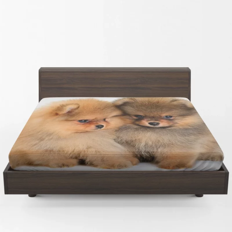 Fluffy Spitz Puppies Furry Delight Fitted Sheet