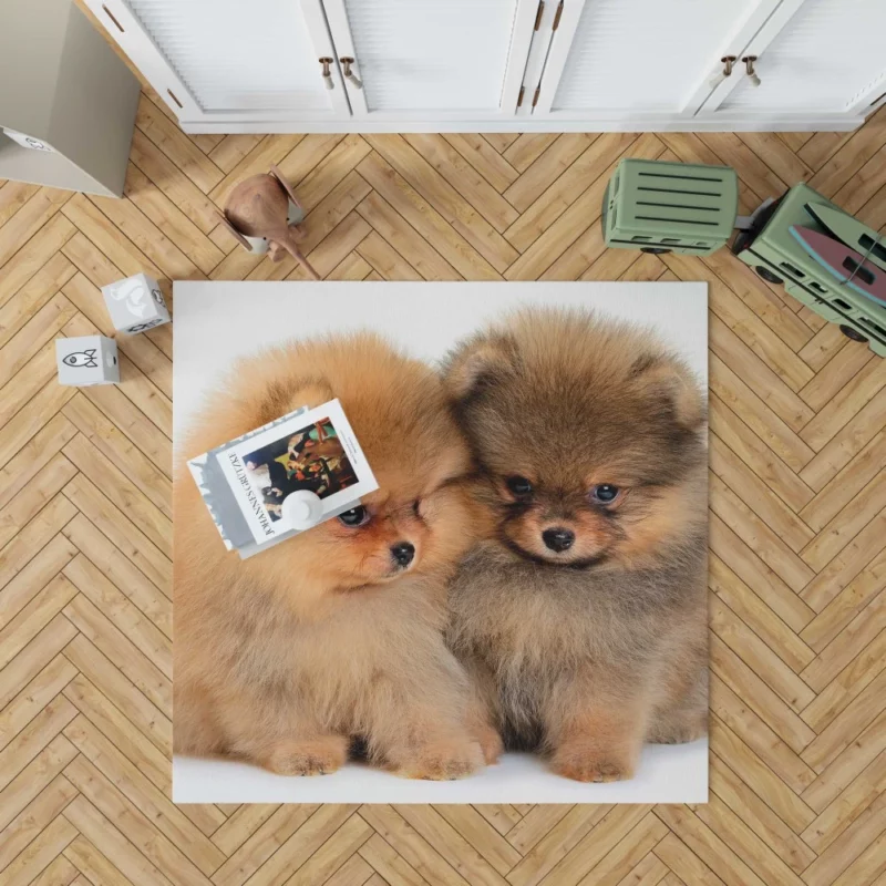 Fluffy Spitz Puppies Furry Delight Rug