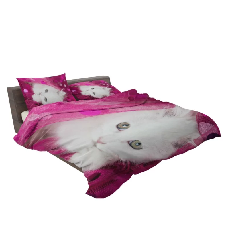 Fluffy White Kitten Innocent Delight Bedding Set 2