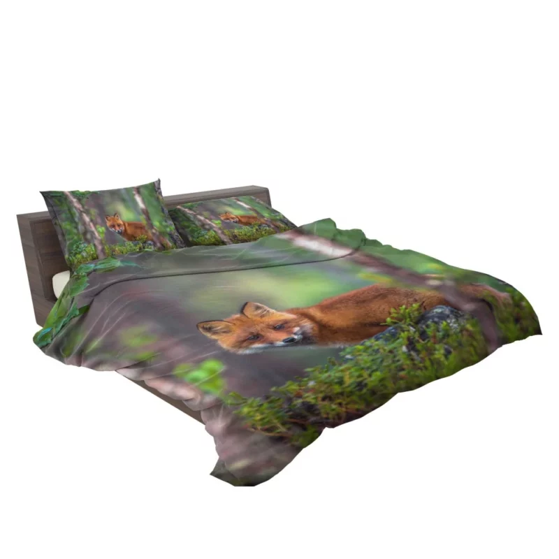 Forest Fox Mysterious Charm Natural Beauty Bedding Set 2