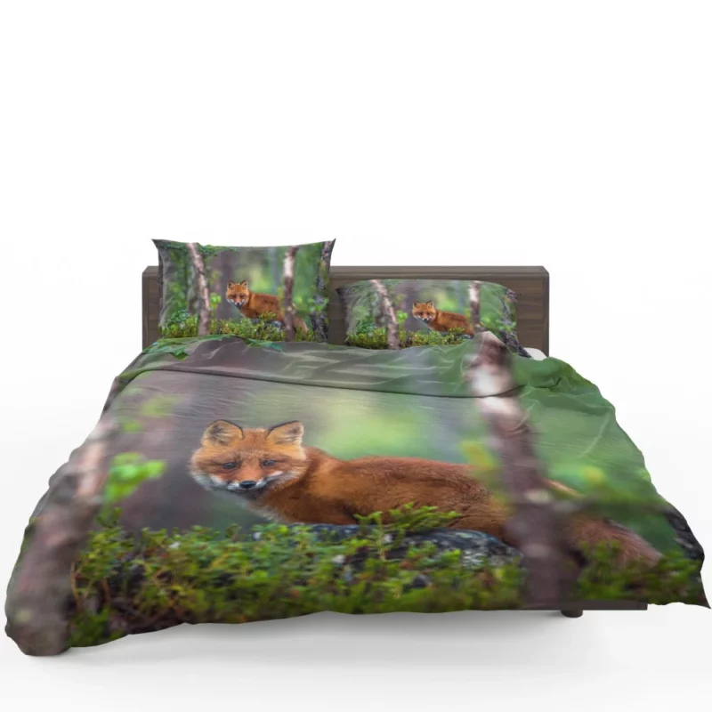 Forest Fox Mysterious Charm Natural Beauty Bedding Set