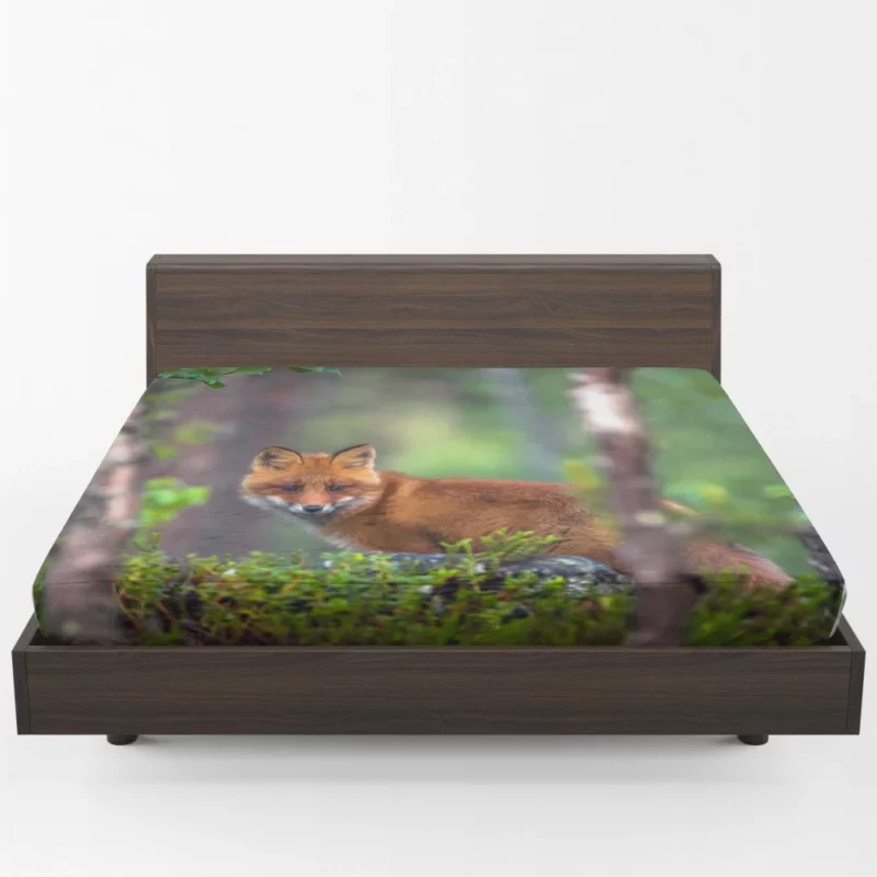 Forest Fox Mysterious Charm Natural Beauty Fitted Sheet