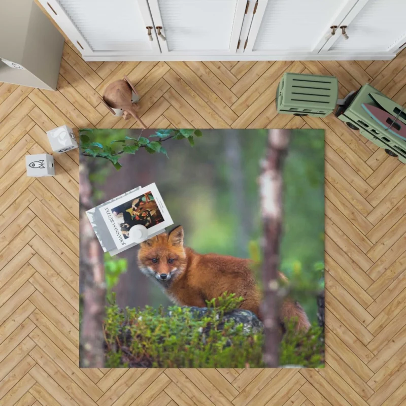 Forest Fox Mysterious Charm Natural Beauty Rug