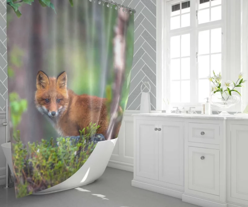 Forest Fox Mysterious Charm Natural Beauty Shower Curtain 1