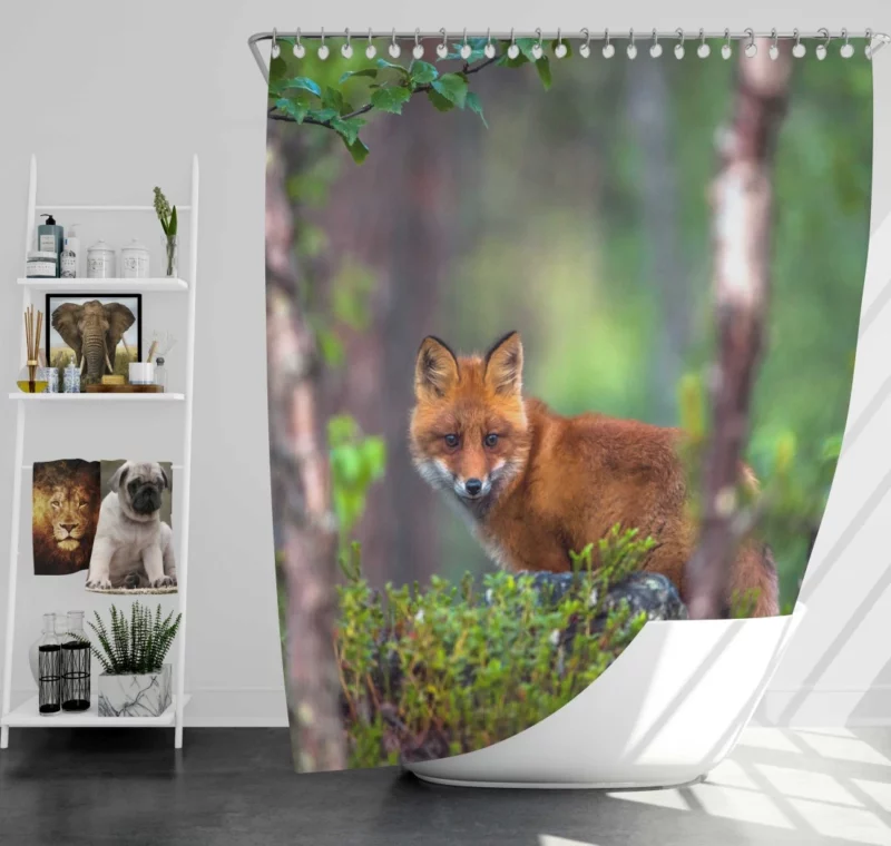 Forest Fox Mysterious Charm Natural Beauty Shower Curtain