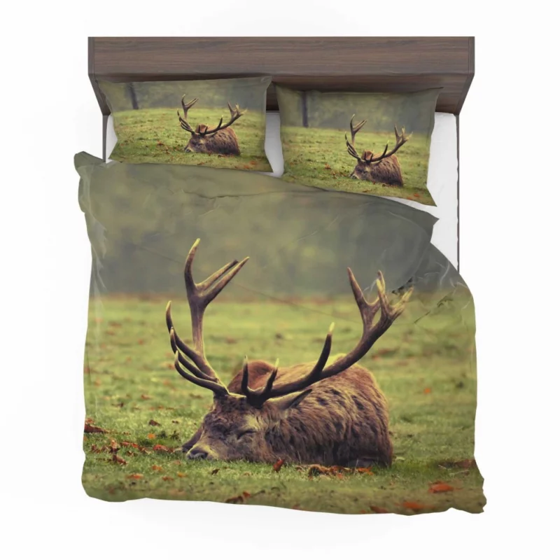 Forest Majesty Majestic Deer Presence Bedding Set 1