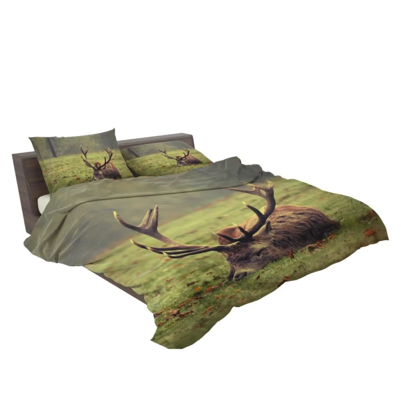 Forest Majesty Majestic Deer Presence Bedding Set 2