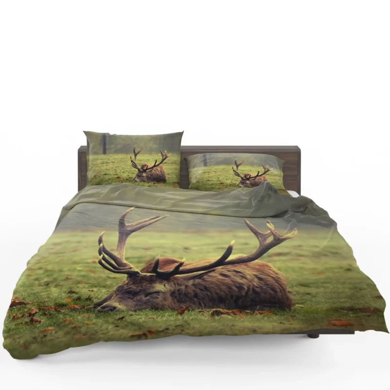 Forest Majesty Majestic Deer Presence Bedding Set