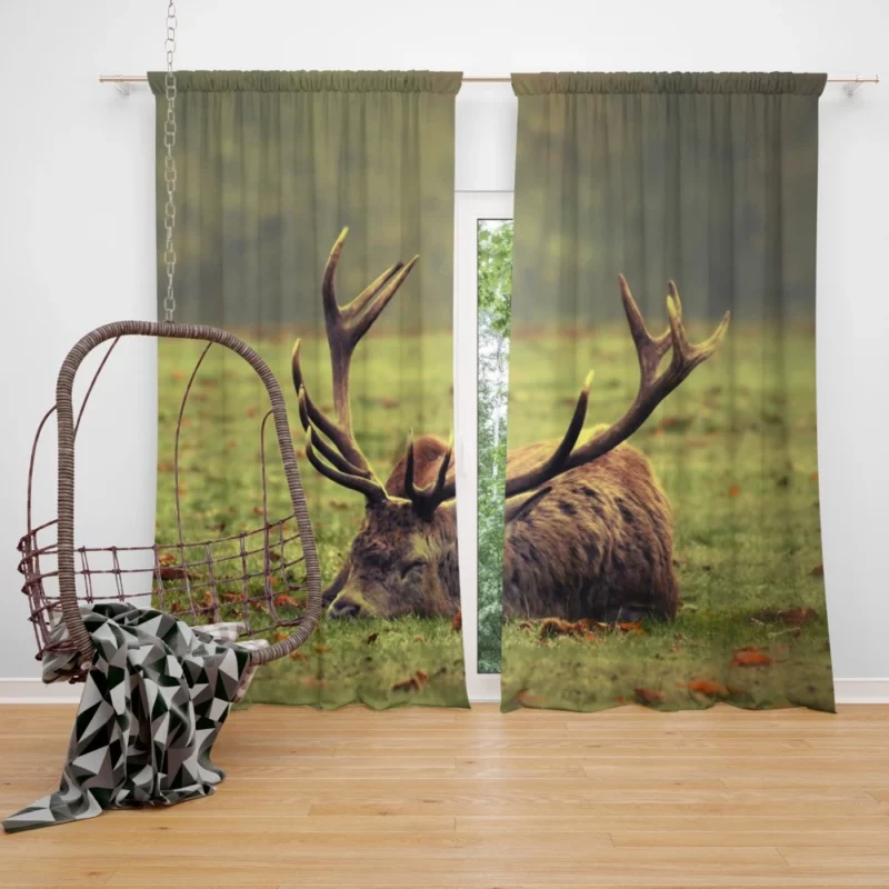 Forest Majesty Majestic Deer Presence Curtain