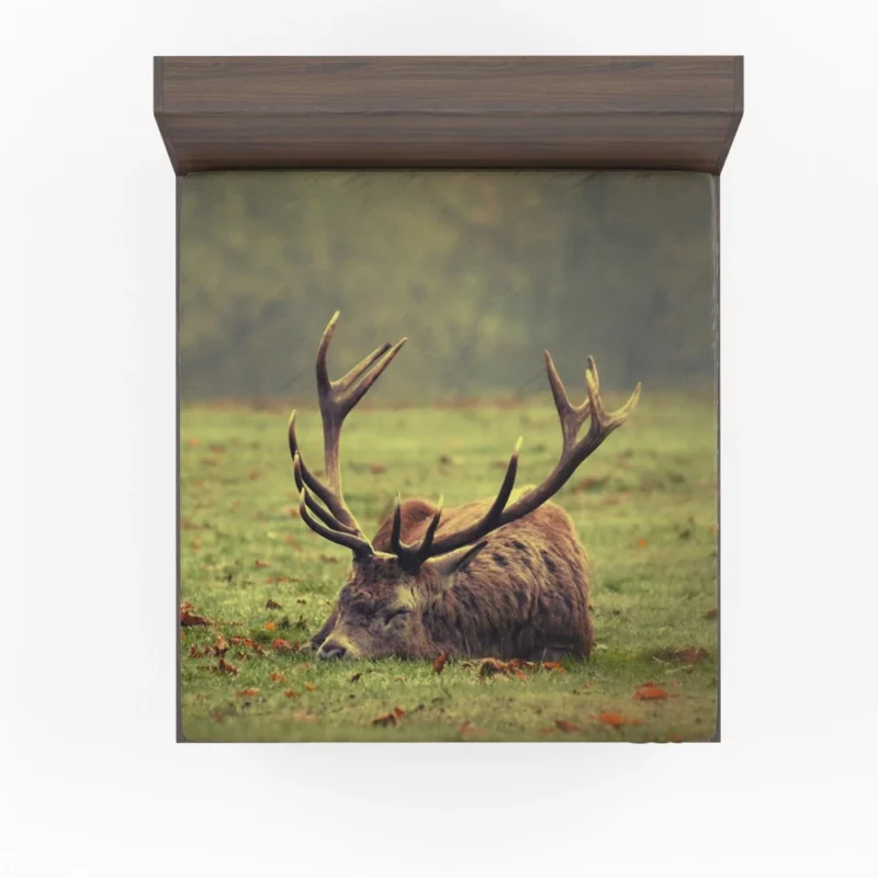 Forest Majesty Majestic Deer Presence Fitted Sheet 1