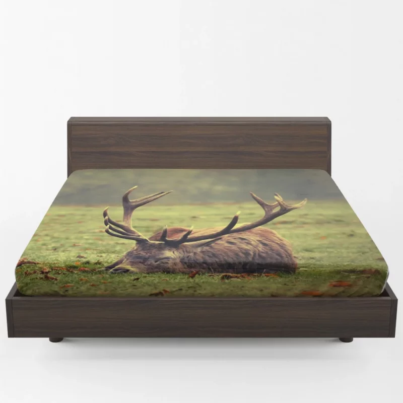 Forest Majesty Majestic Deer Presence Fitted Sheet