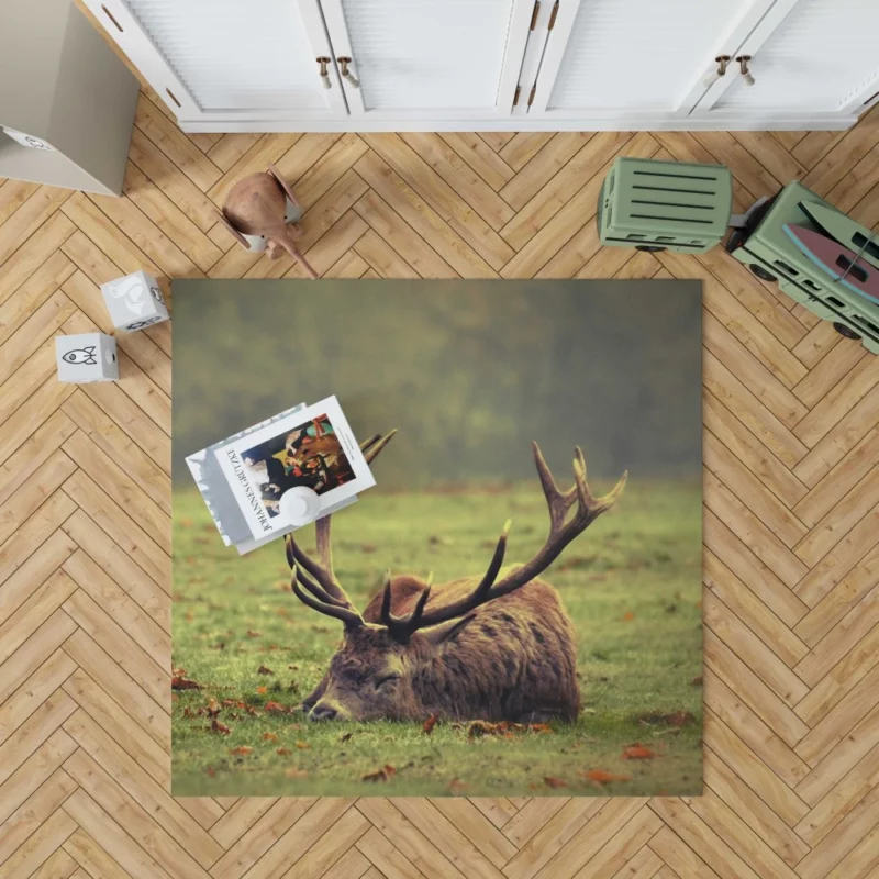 Forest Majesty Majestic Deer Presence Rug