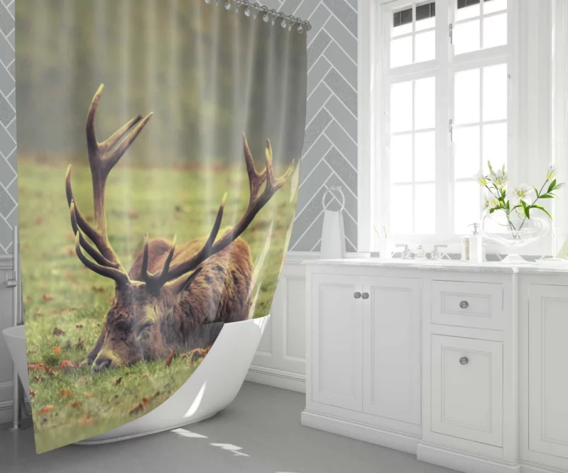 Forest Majesty Majestic Deer Presence Shower Curtain 1