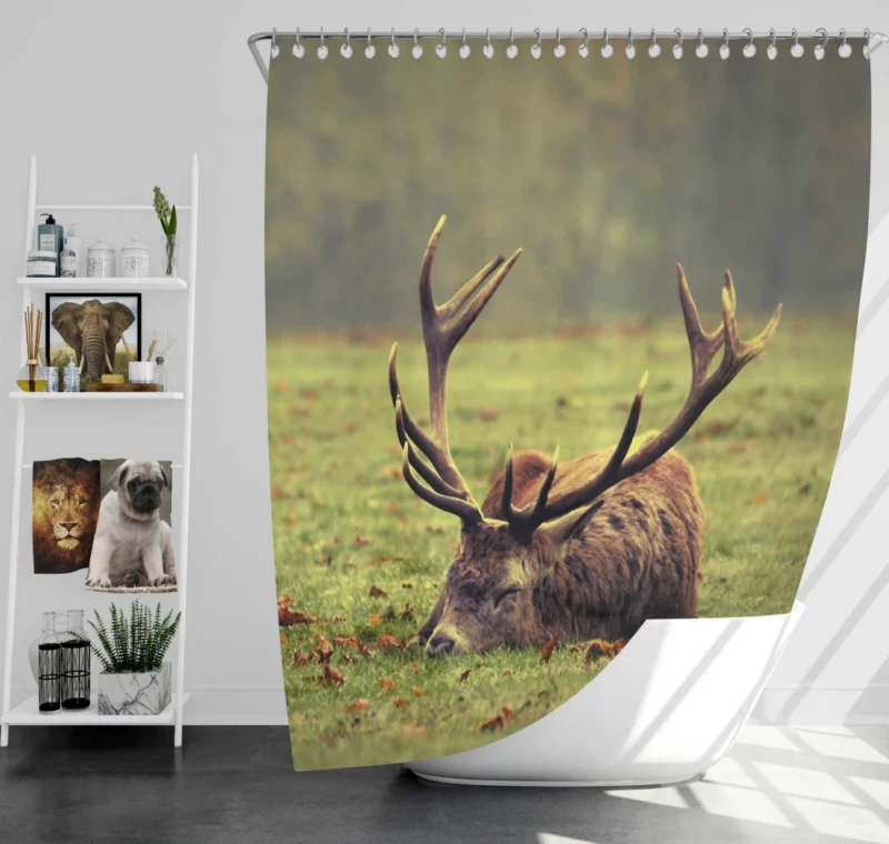 Forest Majesty Majestic Deer Presence Shower Curtain