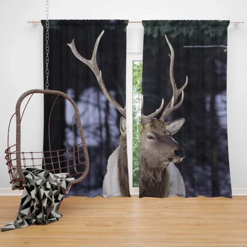 Forest Nobility Majestic Deer Curtain