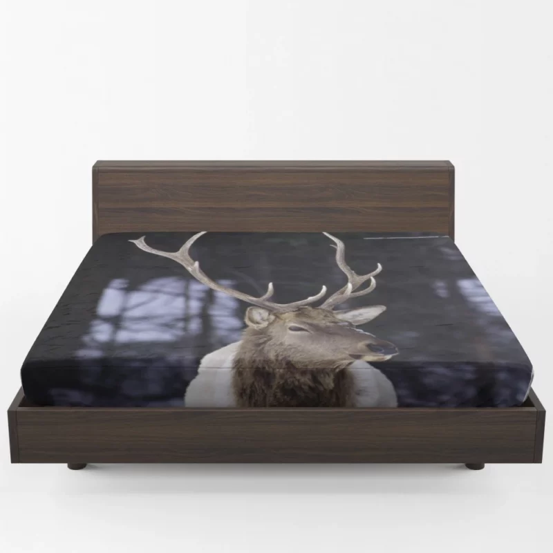 Forest Nobility Majestic Deer Fitted Sheet