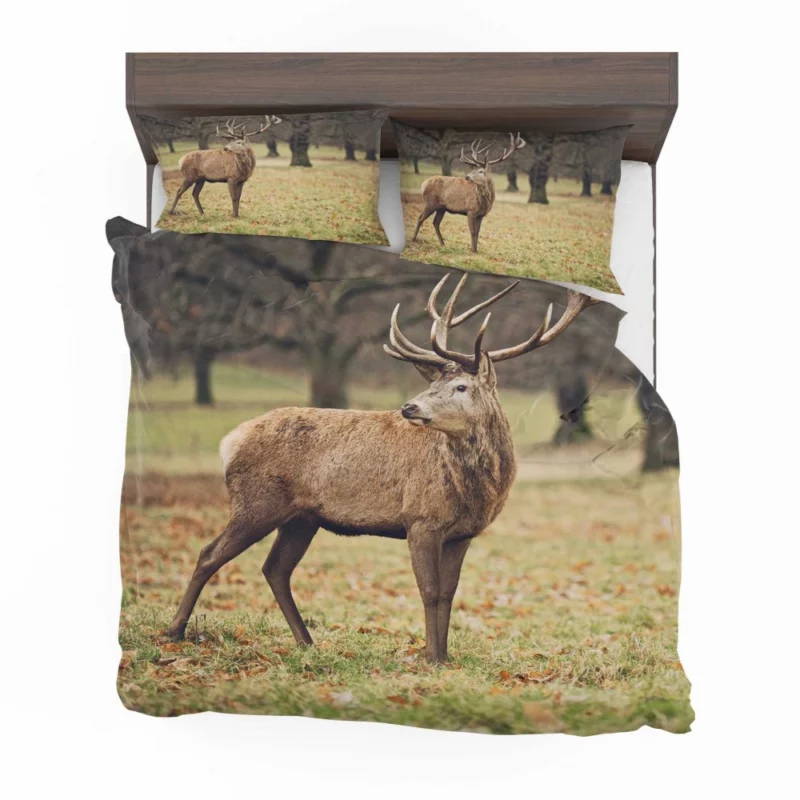 Forest Presence Majestic Deer Bedding Set 1