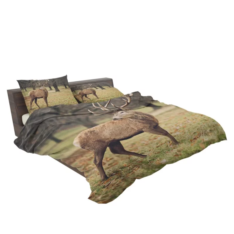 Forest Presence Majestic Deer Bedding Set 2