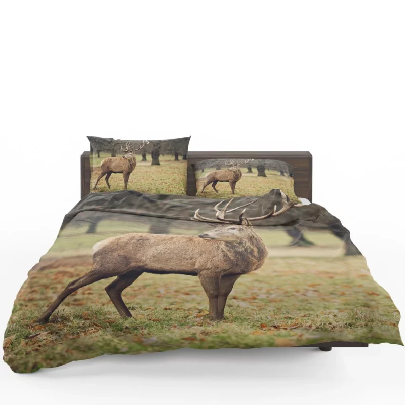 Forest Presence Majestic Deer Bedding Set