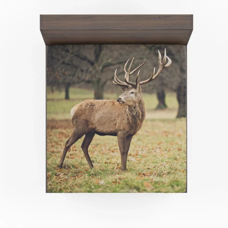 Forest Presence Majestic Deer Fitted Sheet 1