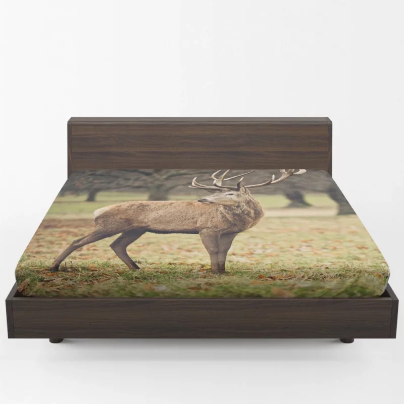 Forest Presence Majestic Deer Fitted Sheet