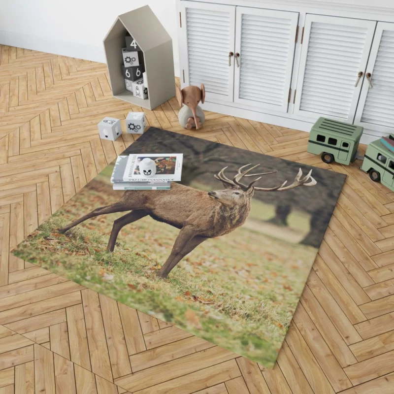 Forest Presence Majestic Deer Rug 1