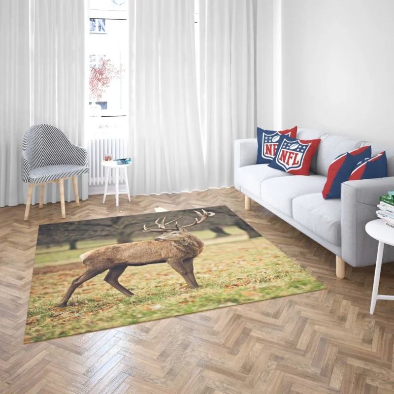 Forest Presence Majestic Deer Rug 2