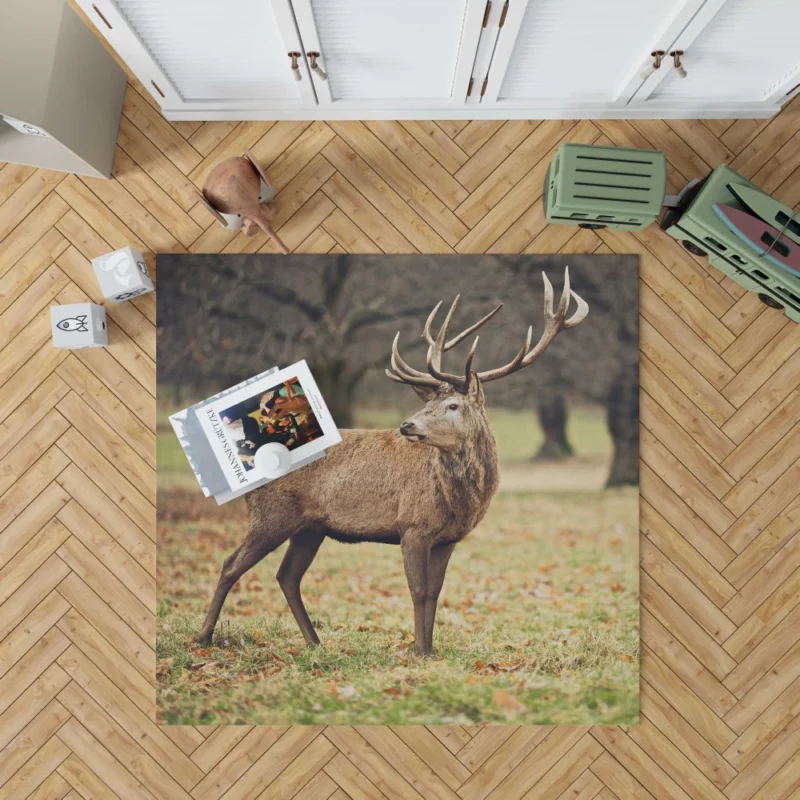 Forest Presence Majestic Deer Rug