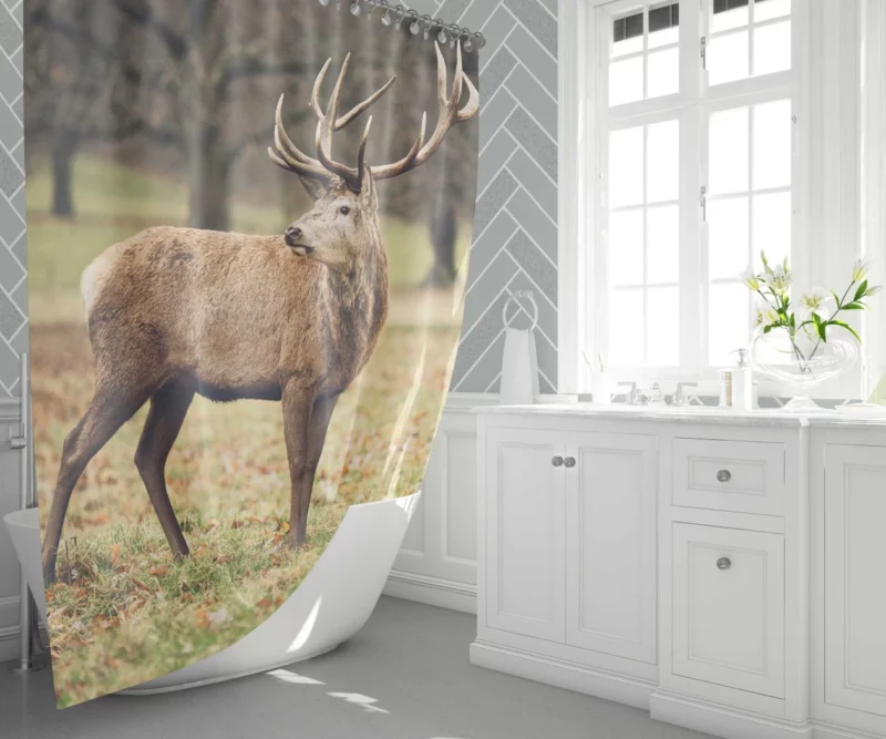 Forest Presence Majestic Deer Shower Curtain 1