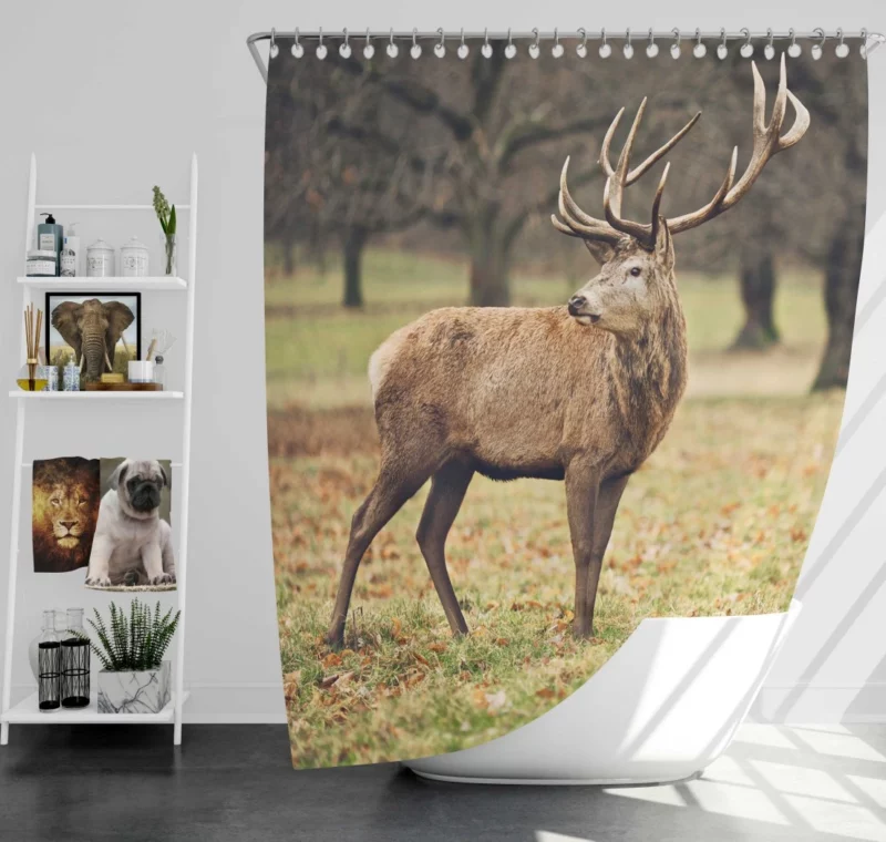 Forest Presence Majestic Deer Shower Curtain