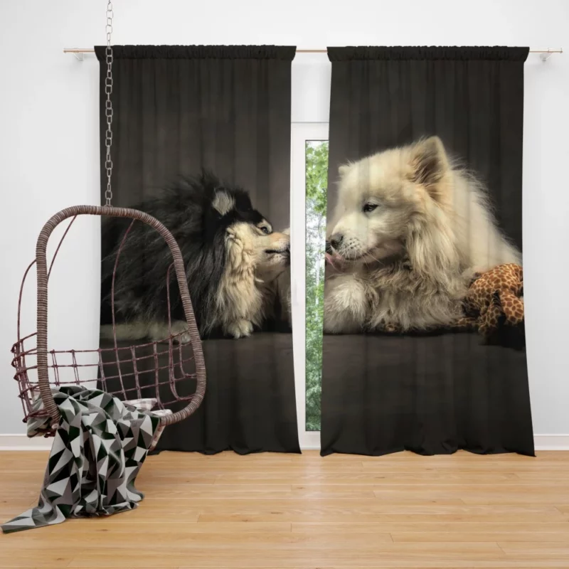 Forever Friends Canine and Human Bond Curtain