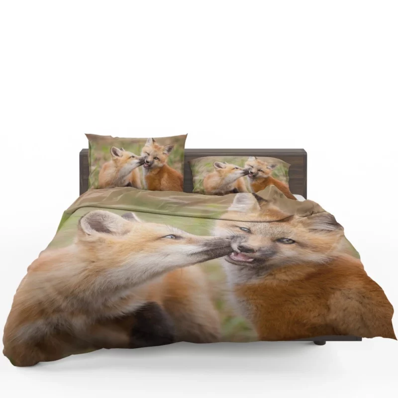 Fox Cub Playful Wilderness Spirit Bedding Set