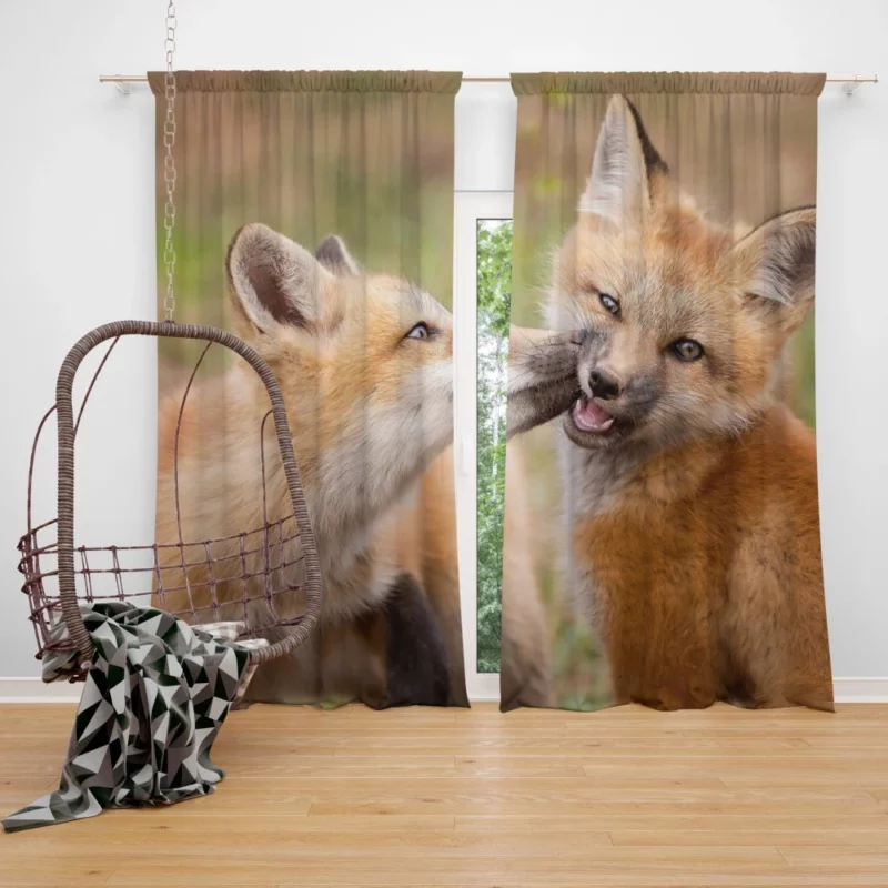 Fox Cub Playful Wilderness Spirit Curtain